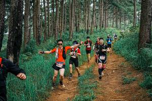 BIB: 
                            <button type="button" onclick="openModal(25673293)" class="btn btn-primary btn-sm float-right btn-popup" data-toggle="modal" data-target=".modal-high-quality">
                        <i class="fas fa-shopping-cart"></i> Add to Cart
                    </button>
                                            <button type="button" onclick="isThisMe(25673293, true)" class="btn btn-success btn-sm float-right btn-popup btn-isme hidden" data-toggle="tooltip" data-placement="bottom" title="นี่คือรูปของคุณใช่ไหม คลิกที่นี่เพื่อเอาเข้าอัลบั้ม">
                        <i class="fas fa-plus"></i> Add to album
                    </button>
                    <button type="button" onclick="isThisMe(25673293, false)" class="btn btn-warning btn-sm float-right btn-popup btn-isnotme hidden">
                        <i class="fas fa-ban"></i> Remove from album
                    </button>